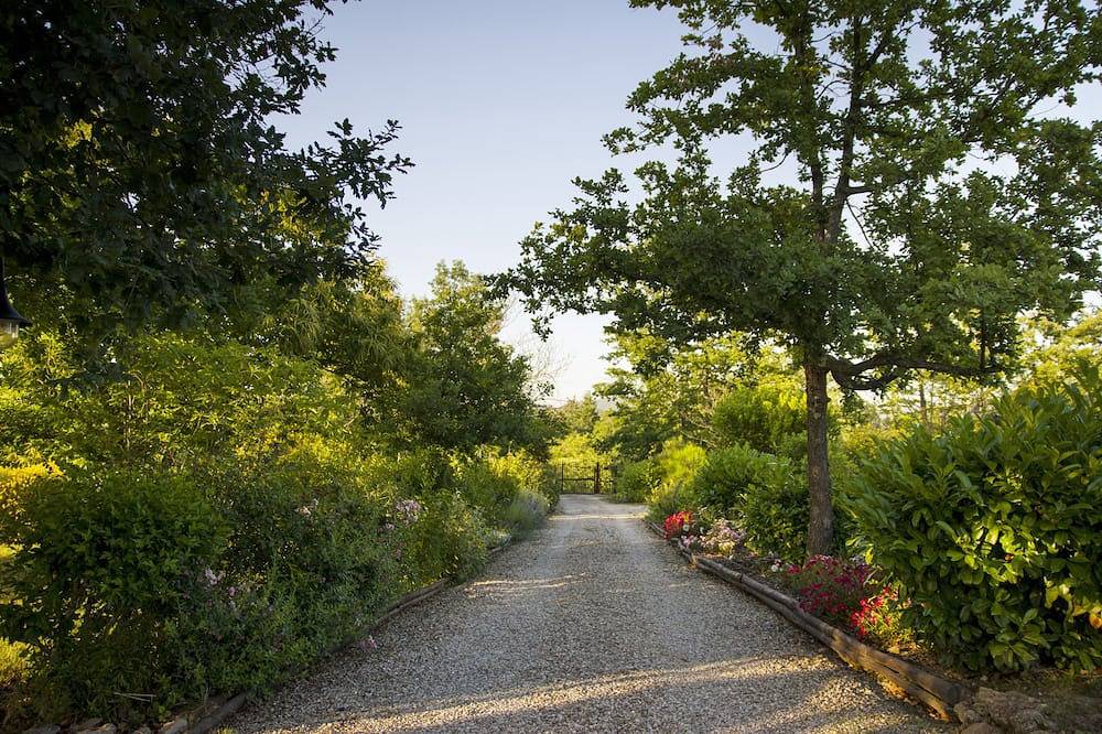 Typical Tuscan Cottage with swimming pool and park, five minutes from San Galgano in Monticiano, Provincie Siena