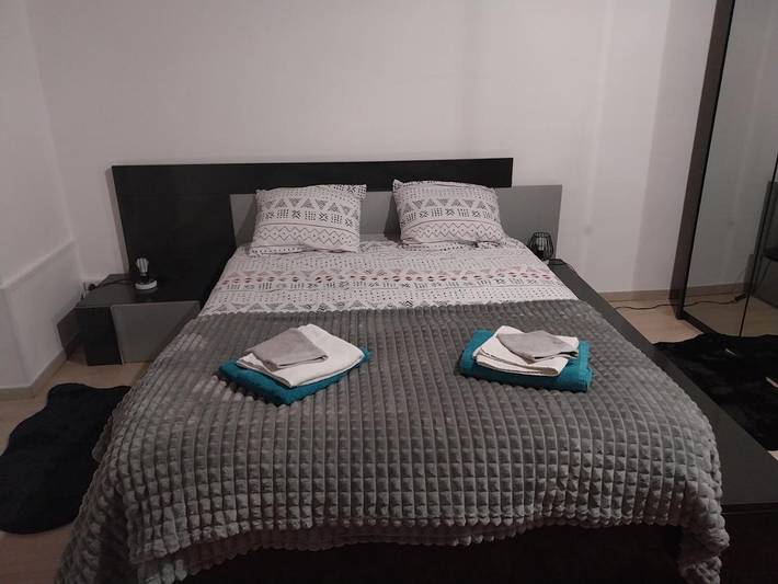 Gîte pour 4 personnes, animaux acceptés à Saint-Seurin-de-Cadourne - 3