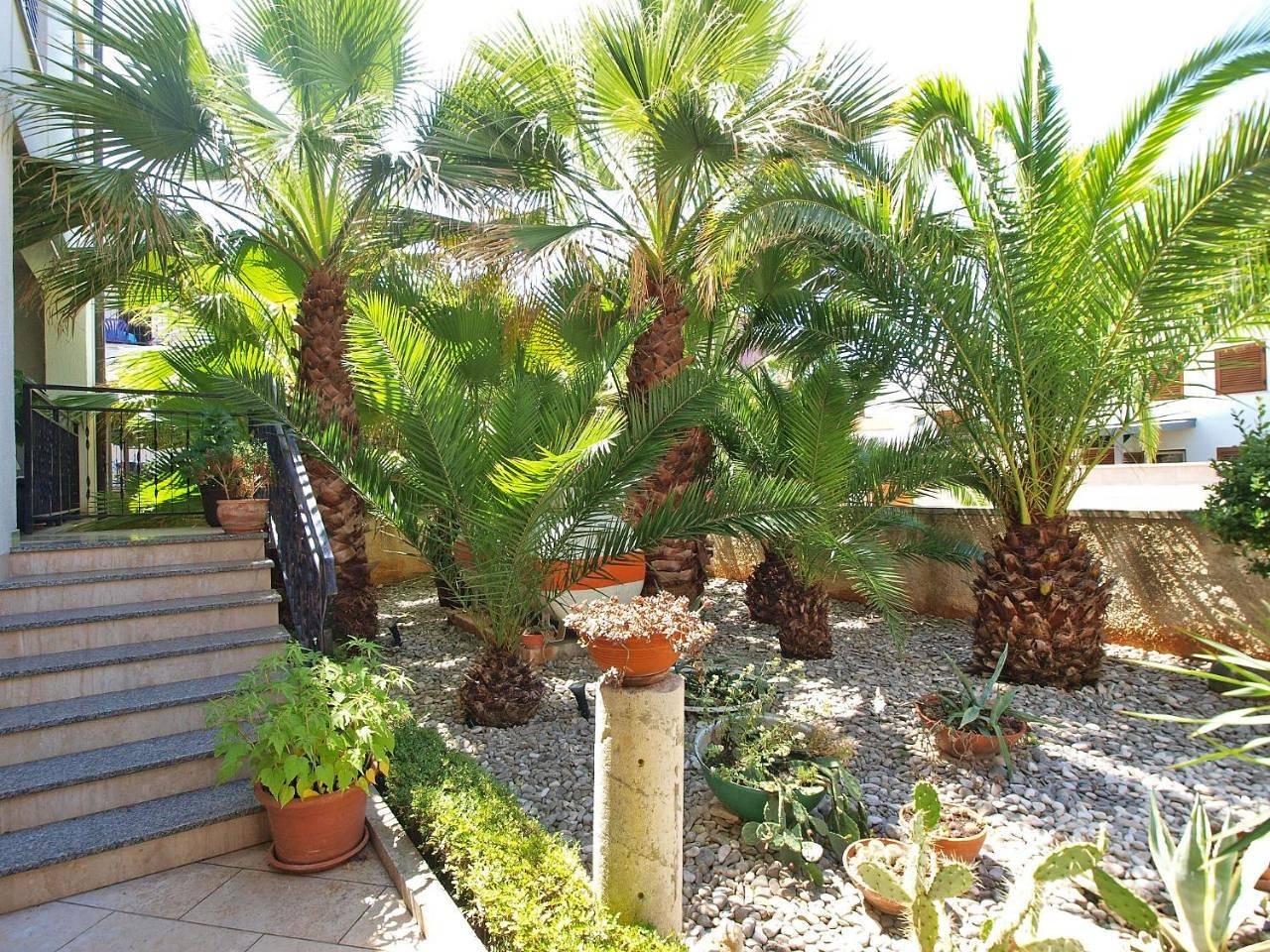 Rooms Ivica 1452 in Batana Beach, Fazana