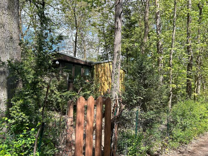 Ferienhaus für 4 Personen, mit Garten und Terrasse sowie Seeblick am Fläming - 2