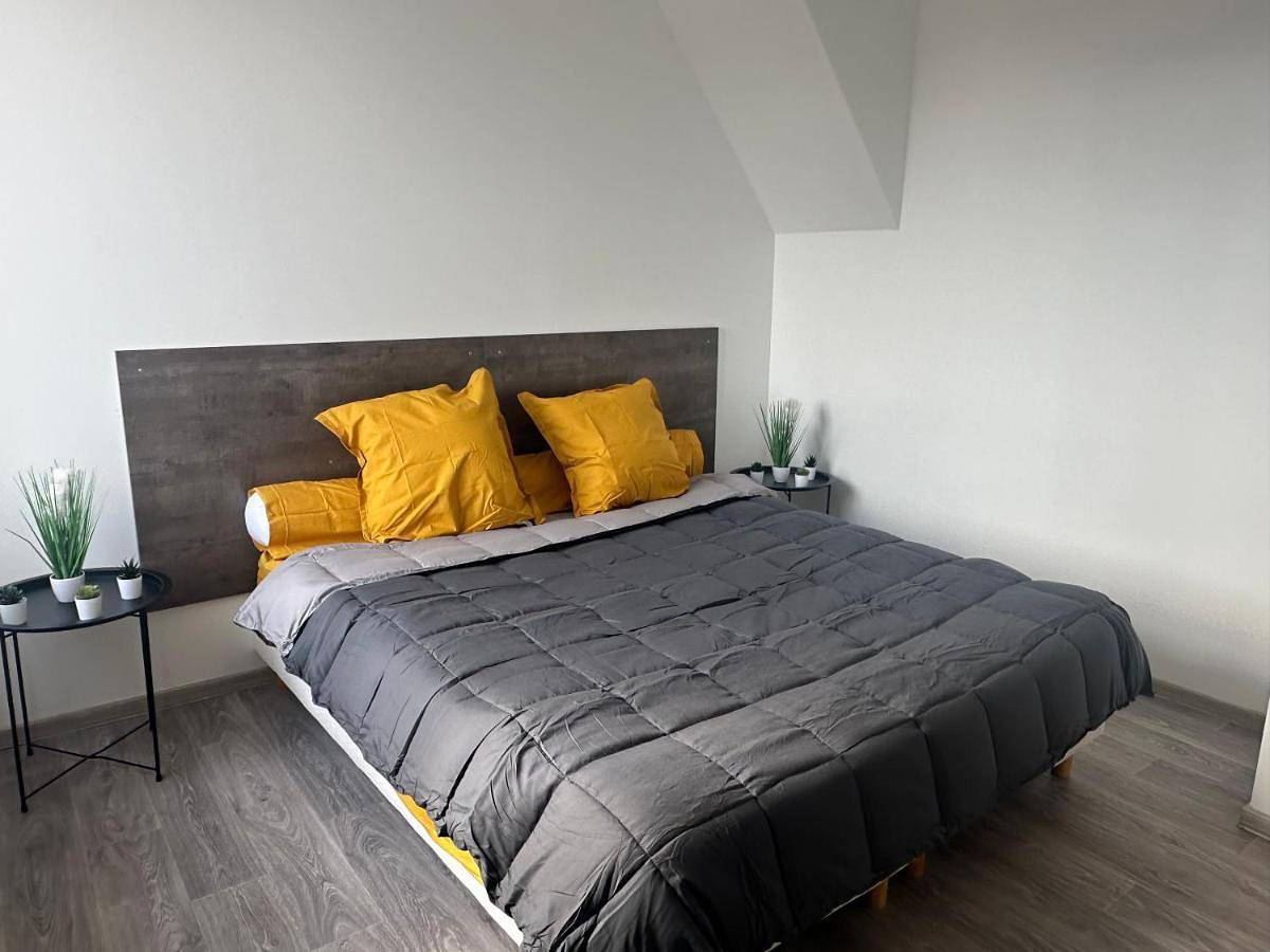 Appartement entier, Appartement confortable Andrezieux Boutheon in Andrézieux-Bouthéon, Montbrison