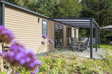 Bungalow voor 6 Personen in Epe, Veluwe, Afbeelding 3