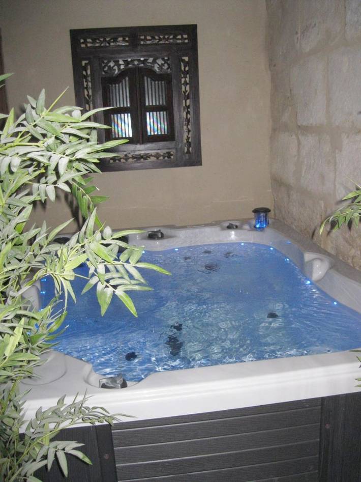 Gîte pour 2 personnes, avec jacuzzi et terrasse à Saint-Hilaire-d'Ozilhan - 2