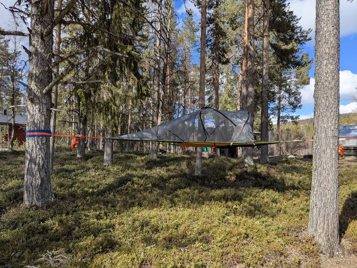 Das besondere Erlebnis Treetent in Långviken in Lappland (Schweden)