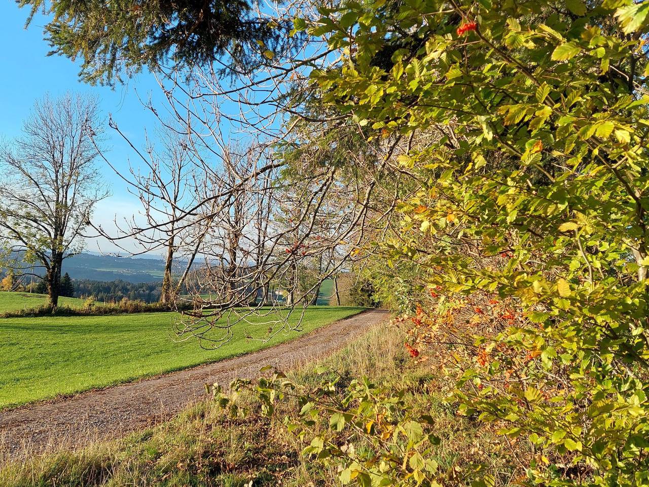 Ganze Ferienwohnung, Ferienwohnung Panorama - neue Ferienwohnung in Sulzberg (Österreich), Bodensee-Vorarlberg