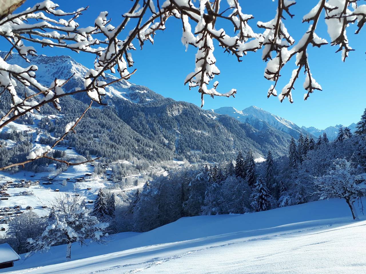 Casa Grischina - 7-Zimmer Ferien-Chalet für 10 Personen, 268qm in Conters im Prättigau, Plessur alps