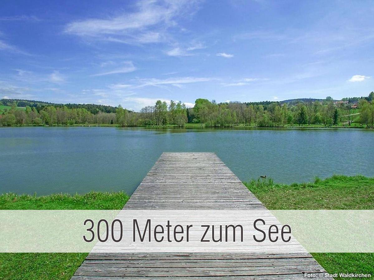 Hütte40: Ganze Hütte nah am See mit privatem Whirlpool, Sauna. Umzäunt. in Waldkirchen, Ostbayern