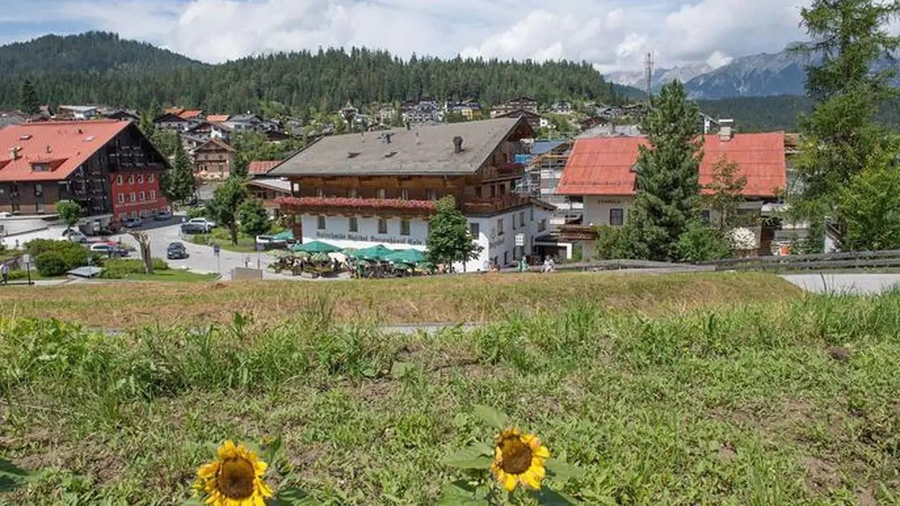 Einzelzimmer für 1 Person (13 m²) in Seefeld in Tirol in Seefeld in Tirol, District d'Innsbruck-Land