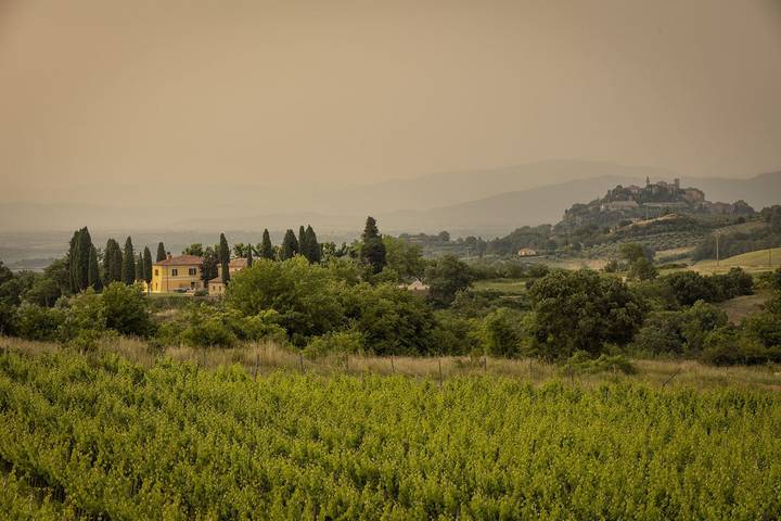 Villa Iapicca in Montepulciano, Provincia de Siena