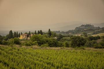 Vacation Rental for 20 Guests in Montepulciano, Siena Province, Picture 4