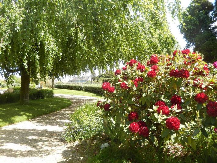 Location de vacances pour 2 personnes, avec Terrasse ainsi que Jardin et Vue à Plouvorn - 3
