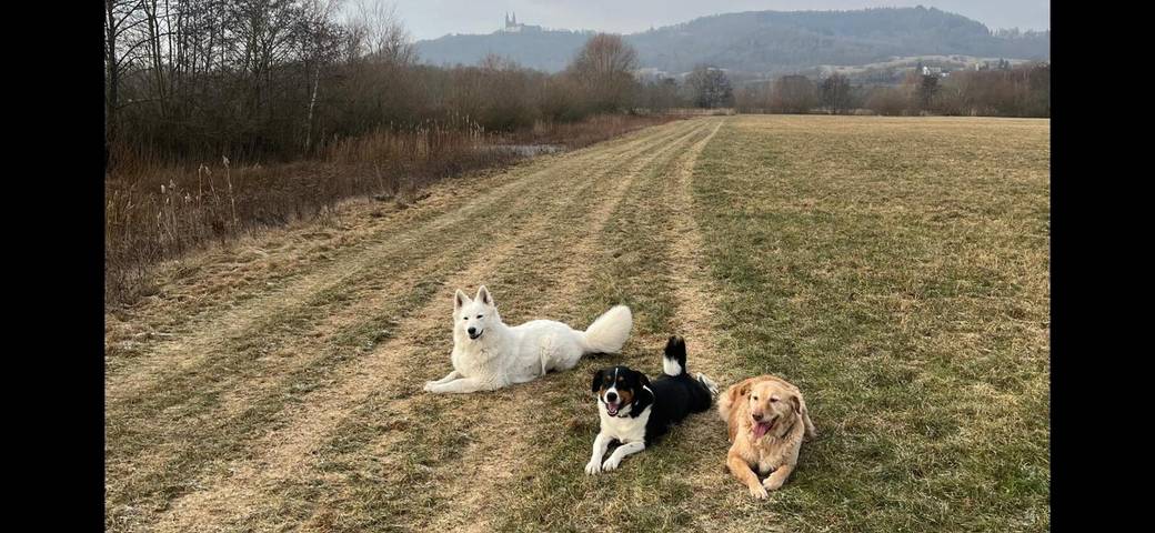Ferienhaus für 2 Personen, mit Balkon/Terrasse und Balkon in Bad Staffelstein