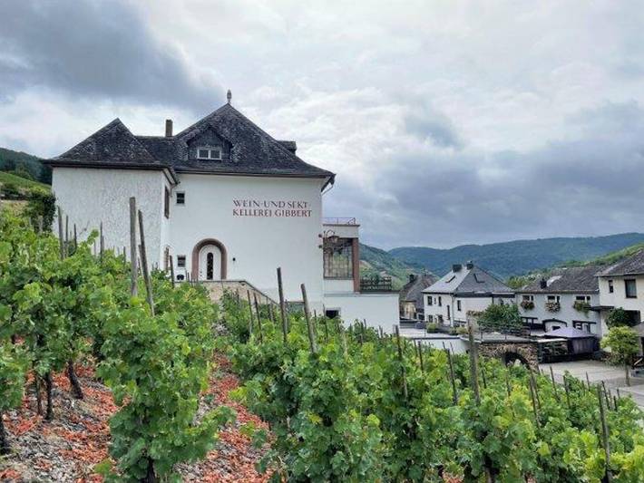 Ferienwohnung für 4 Personen, mit Terrasse in Zell Stadt (Mosel) - 2