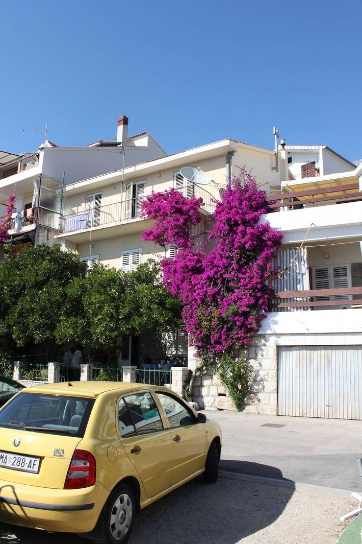 Ganze Wohnung, Studio Appartement am Strand Podgora, Makarska As-6787-a in Podgora, Makarska Riviera