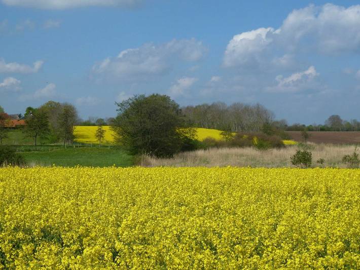 Ferienwohnung für 2 Personen, mit Ausblick und Garten in Gelting - 3