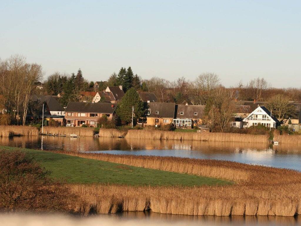 Waterküken am Bootssteg in Kosel, Rendsburg-Eckernförde