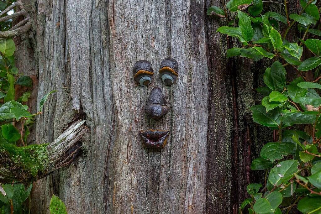 Coastal Haven-N Chesterman Beach, Hot Tub, Surf! in Tofino, Alberni-Clayoquot Regional District