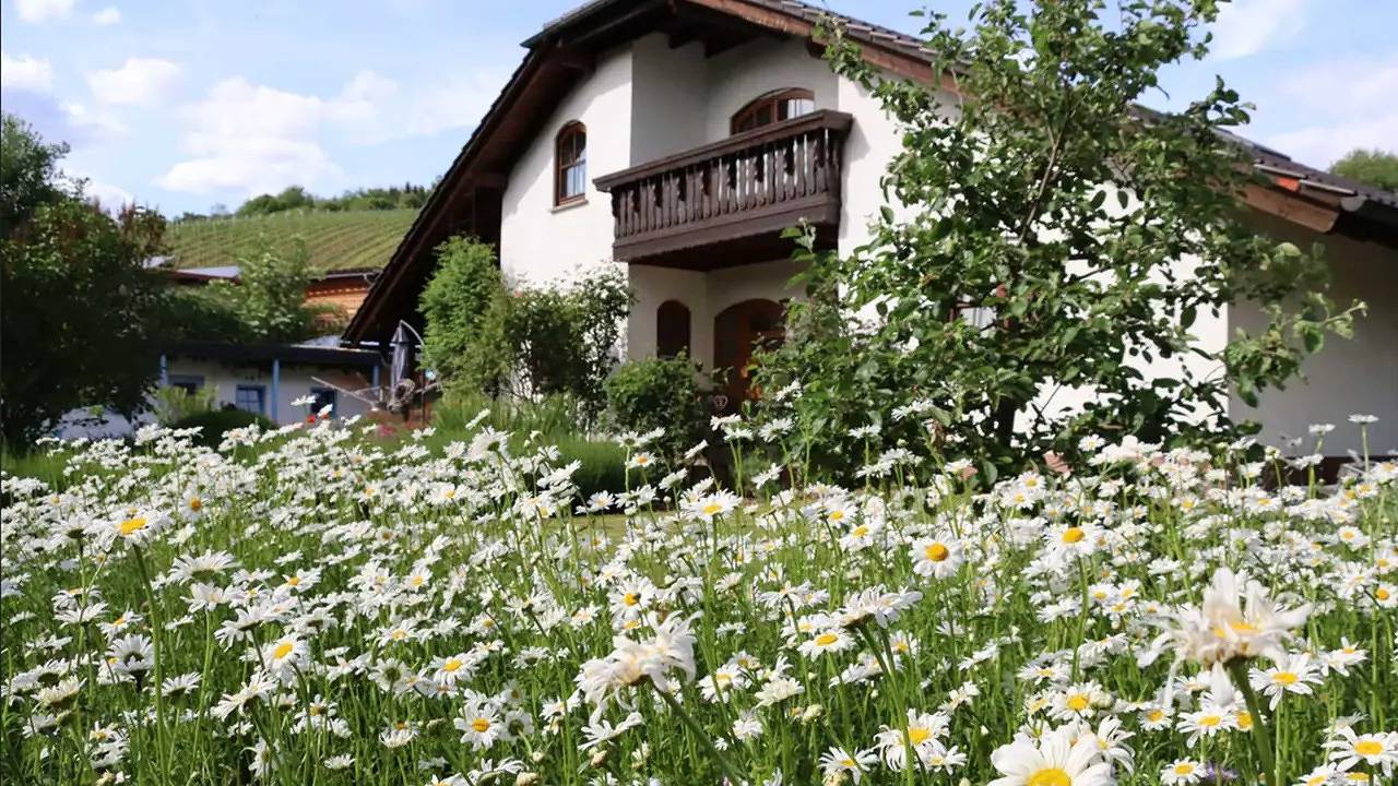 Ganze Ferienwohnung, Ferienwohnung für 4 Personen (55 m²) in Rümmelsheim in Rümmelsheim, Landkreis Bad Kreuznach