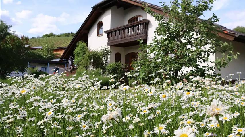 Ferienwohnung für 4 Personen, mit Terrasse