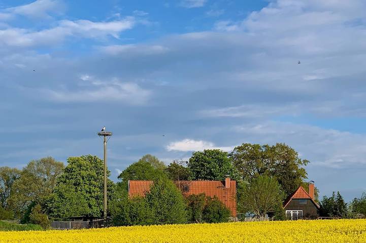 Ferienwohnung für 7 Personen, mit Garten und Terrasse sowie Sauna und Whirlpool, mit Haustier in Grabowhöfe
