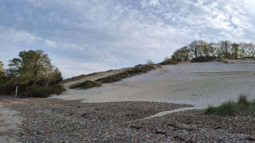 Ferienhaus für 9 Personen, mit Garten und Sauna in Mørkholt - 4