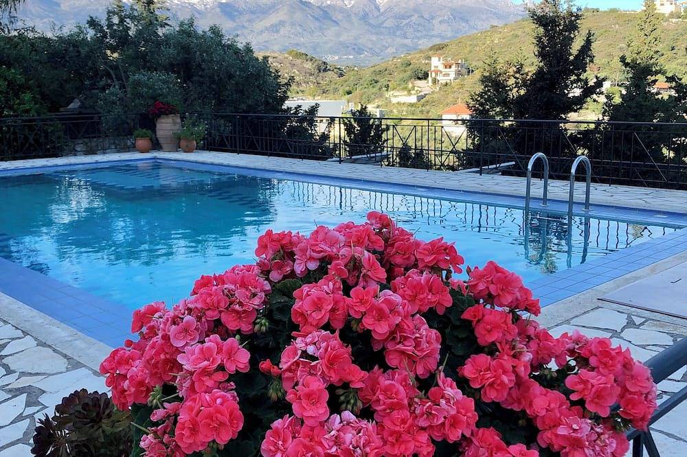 2-bedroom apartment with large private pool in Tsivaras. Close to the beach. in Vamos, Chania region