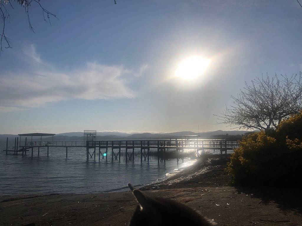 Ganze Wohnung, Labor Day % off holidayrate+2nt min+100 credit for nonmotor watersports in California North Coast