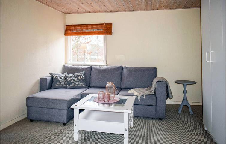 Ferienhaus für 4 Personen, mit Garten in Tranemo - 3