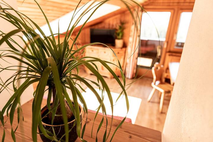 Ganze Wohnung, Apartment "Haus Lohengrin - Ferienwohnung 5" mit Bergblick, Wlan, Balkon und Garten in Seis am Schlern, Kastelruth