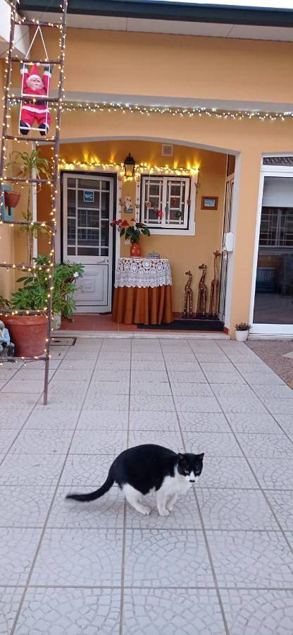 Maison d’hôte pour 2 personnes, avec jardin et vue à Aveiro - 2