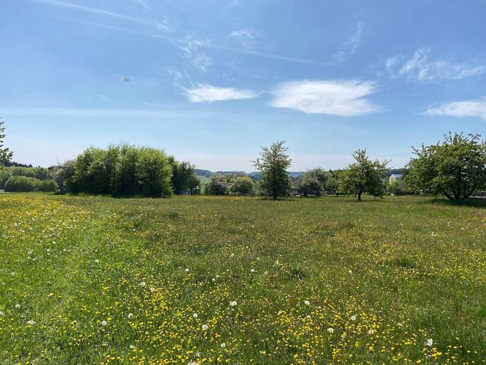 Ferienwohnung für 5 Personen, mit Garten in der Fränkische Schweiz - 4