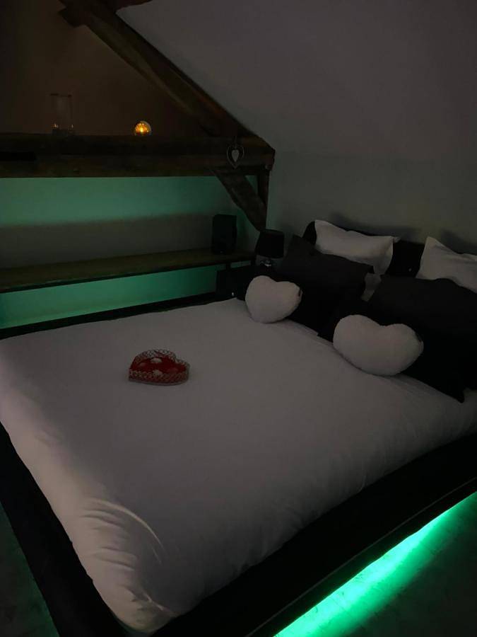 Gîte pour 2 personnes, avec jacuzzi et terrasse à Neuville-sur-Sarthe - 3