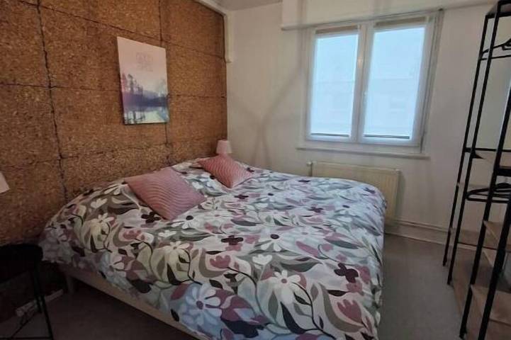 Location de vacances pour 5 personnes, avec jardin à Rixheim - 4