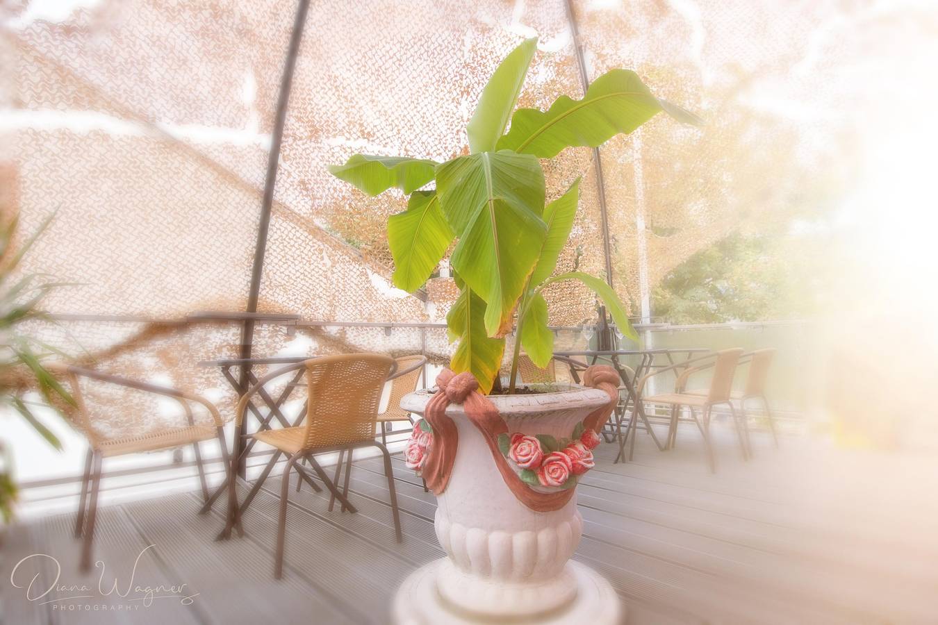 Vierbettzimmer in Neustadt-Stadtmitte, Neustadt an der Weinstraße