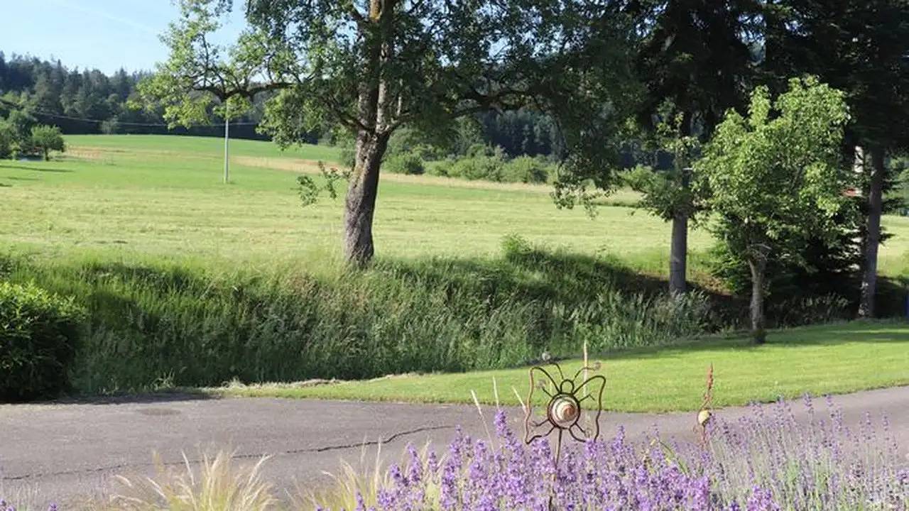 Ganze Ferienwohnung, Ferienwohnung für 4 Personen (92 m²) in Seelbach in Seelbach, Mittlerer Schwarzwald