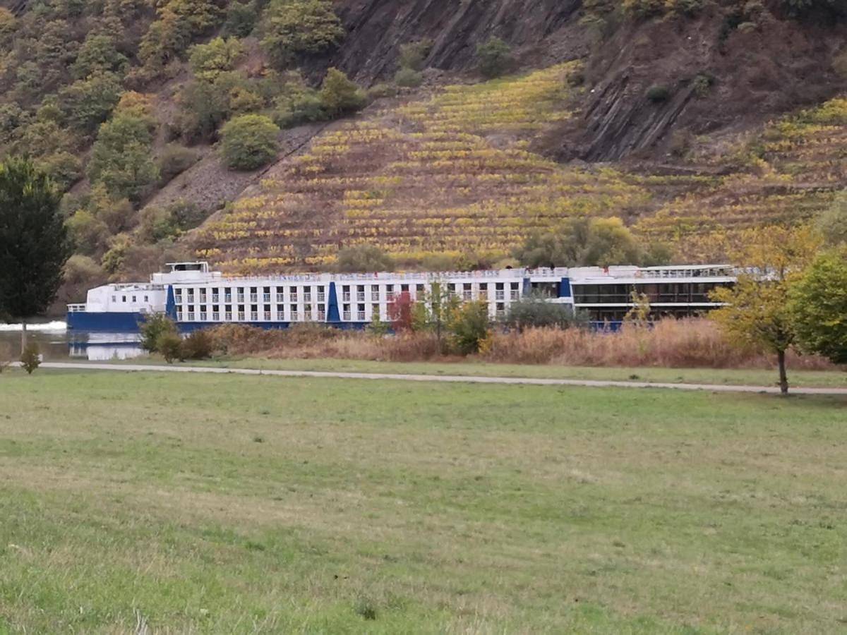 Ganze Wohnung, Ferienhaus Malefi 2 am Gülser Moselbogen in Güls, Koblenz