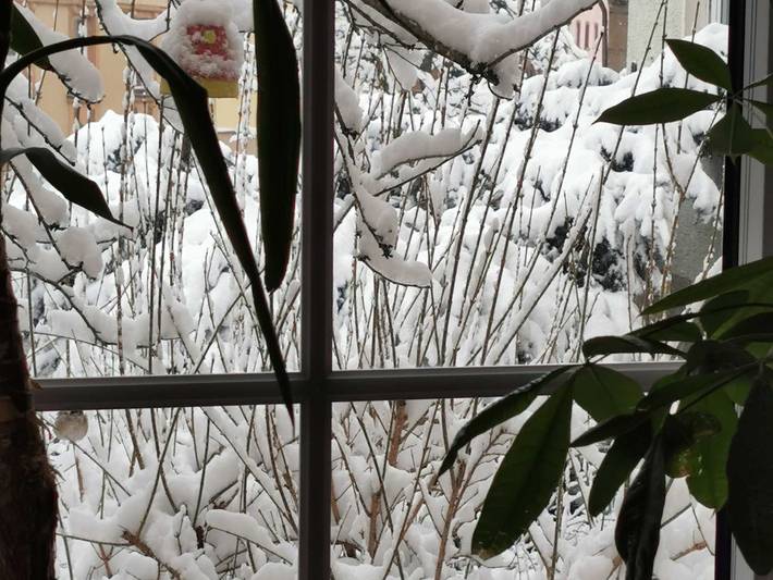 Hotel für 5 Personen, mit Garten, mit Haustier in Hohenlohe - 4
