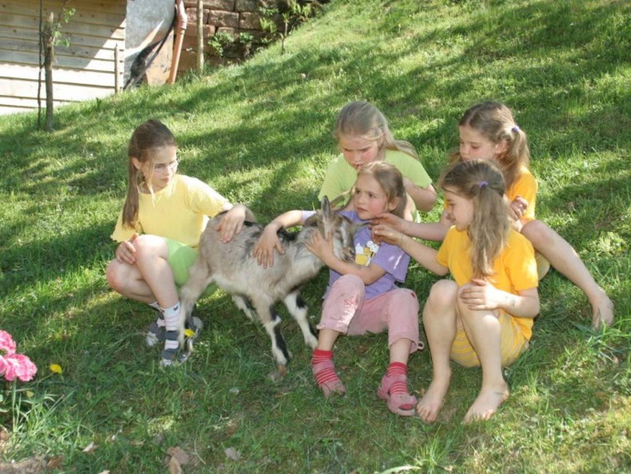 Hinterbauer Hof - Ferienwohnung Obstgarten mit 65qm, 2 Schlafzimmer, max. 4 Personen in Oberharmersbach, Mittlerer Schwarzwald