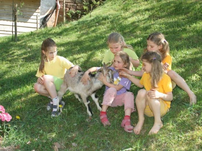 Ferienhaus für 4 Personen, mit Garten, mit Haustier im Schwarzwald - 4