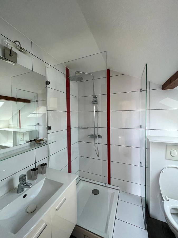 Location de vacances pour 2 personnes, avec terrasse et vue ainsi que jardin et vue sur le lac à Gérardmer - 4