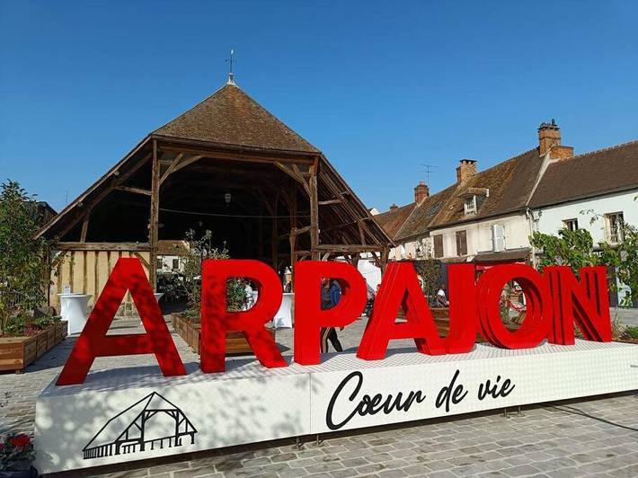 Gîte pour 2 personnes, animaux acceptés à Arpajon - 4