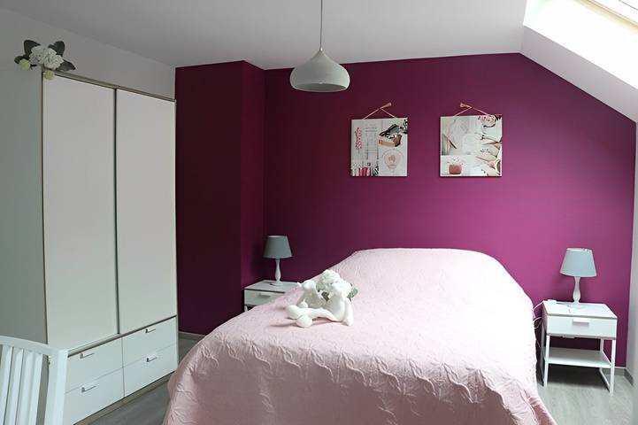 Gîte pour 8 personnes, avec jardin et terrasse dans Grand Est - 2