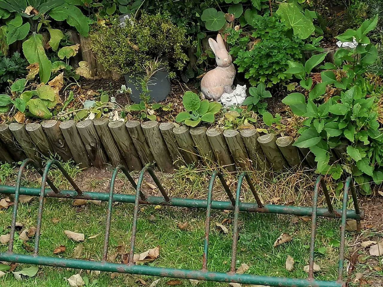 Ganze Ferienwohnung, Ferienwohnung Andresen - 2-Zimmerwohnung in Westerland, Sylt (Gemeinde)