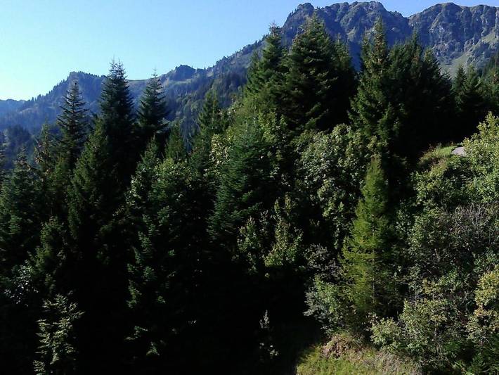 Gîte pour 4 personnes, avec jardin et vue à Vionnaz - 4