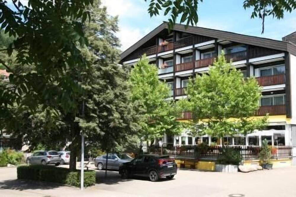 Ganze Wohnung, Einzelzimmer Komfort mit Dusche/Bad und Wc in Ottenhöfen im Schwarzwald, Mittlerer Schwarzwald