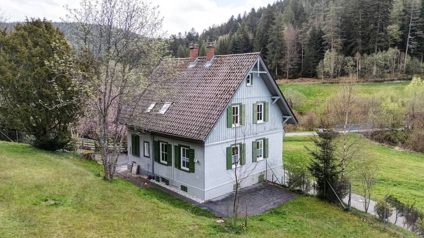 Ferienhaus für 4 Personen, mit Garten, mit Haustier im Schwarzwald - 2