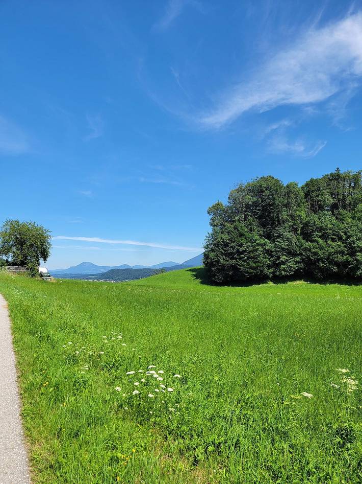 Ganze Ferienwohnung, Landhaus Fellnerbauer - 1 Gemütliche Ferienwohnung für 2 Personen, 20qm, Balkon oder Terrasse in Bad Reichenhall, Berchtesgadener Alpen