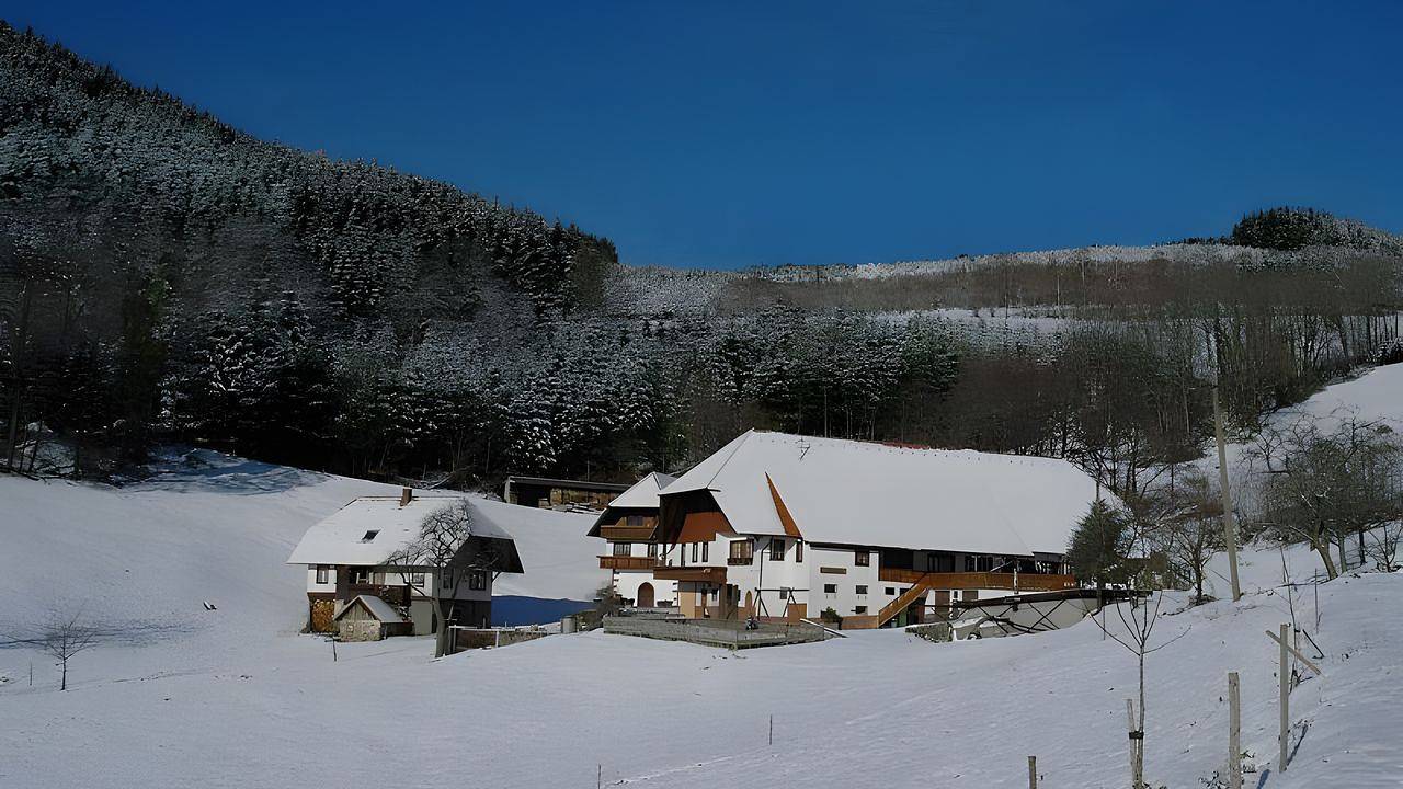 Ganze Ferienwohnung, Ferienwohnung für 4 Personen (65 m²) in Hausach in Hausach, Mittlerer Schwarzwald