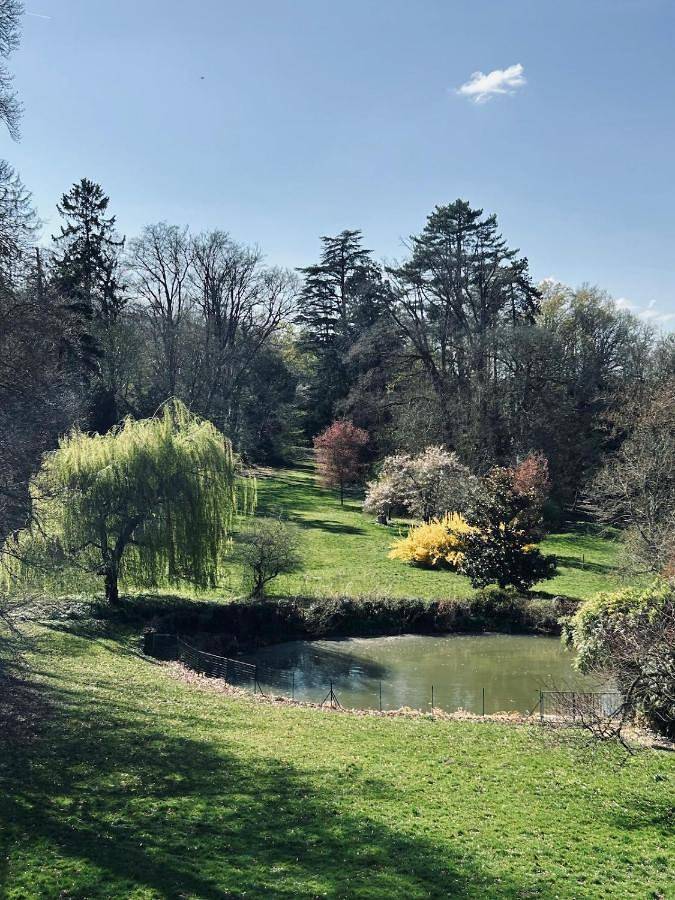 La Chaladrerie grande maison de maître avec jardin in Villers-Allerand, Parc naturel régional de la Montagne de Reims