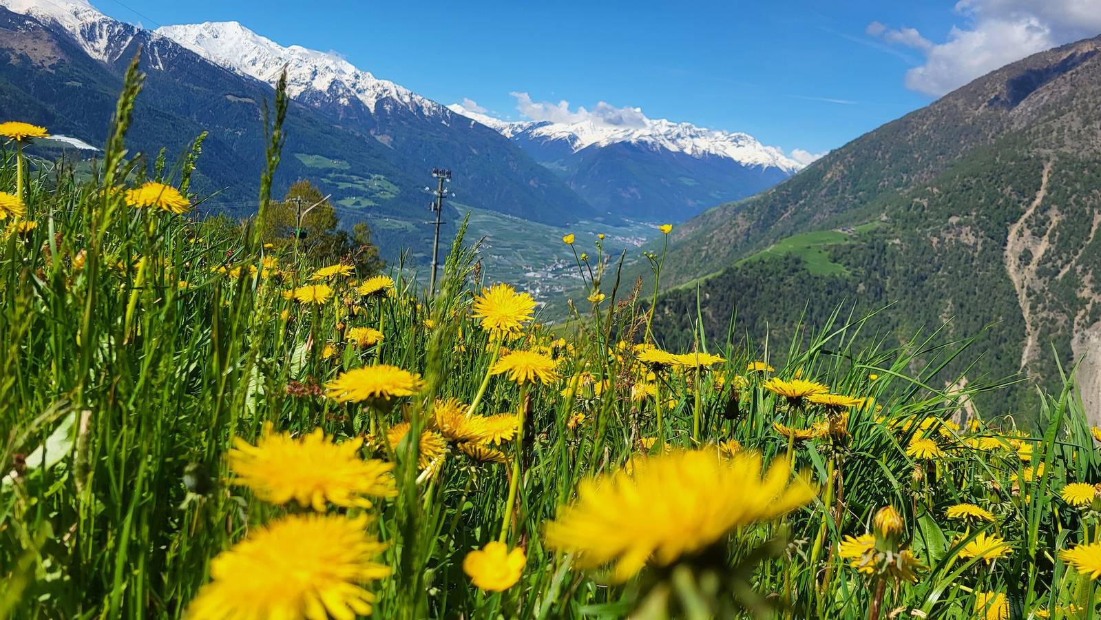 Charmantes Apartment Kornkammer Lodge mit Bergblick, Wlan und Garten; Parkplätze vorhanden in Naturns, Texelgruppe